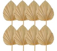 Cpolebev 8 PZ Foglie di Palma Secche Decorazioni Rifilate Palme Secche Ventilatori di Palma Fiori di Nozze Secchi Tropicali Boho Decorazioni di Nozze