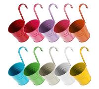 Cpolebev Confezione da 10 Vasi da Fiori Sospesi Vaso da Appendere Balcone Vasi da Giardino Fioriera da Parete con Mini Strumento