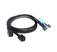 Cpolebev da MCIO 8i A 2 X SFF 8643 PCIE Gen5 da MCIO 8X A Mini SAS HD SFF 8643 Ad Alta Velocità per Server Data Center 0,5 M