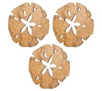 Cpolebev Decorazione Parete in Legno con Dollari Sabbia, Decorazione Parete Estiva Decorazione Parete con Dollari Sabbia, Parete Rotonda in Legno con Dollari Sabbia per Esterni 35x35 cm