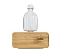 Cpolebev Diffusori di Essenziali A Nebulizzazione, Ricaricabili Fili, in Legno e Vetro per L'Aroma in Casa, in Ufficio o in Salotto.