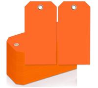 Cpolebev Etichette per Spedizione al Neon da 4 3/4 Pollici X 2 3/8 Pollici Etichette per Appendere Pesanti Vuote con Fori Rinforzati Etichette per Bagagli Scrivibili, Facile Installazione C