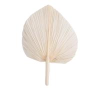 Cpolebev Foglie di Palma Essiccate Bianche - qualità Premium - 3 Pezzi Eleganti Decorazioni per La Casa e Il Matrimonio Boho Moderne - Wall Art