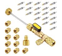 Cpolebev Kit di Attrezzi per L'Installazione Della Rimozione del Nucleo Della Valvola Rimozione del Nucleo Della Valvola con Doppia Porta da 1/4 e 5/16 per con R22 R12 R407 R410 R404 R32 R600