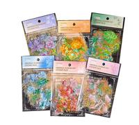 Cpolebev Olografici In D' con Fiori Naturali e Piante, 240 Pezzi, Impermeabili, con Glitter Trasparenti, Floreali Botanici per Album