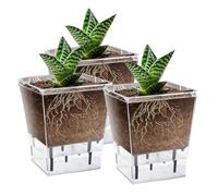 Cpolebev Set di Vasi con Automatica, Confezione da 3 Vasi con Automatica da 5 Pollici per Piante da Interno, Vaso Trasparente con Profondità per Piante