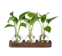 Cpolebev Stazioni di Propagazione delle Piante Vaso di Vetro Stazione Terrario per Piante Retro con Vassoio in Legno Vaso per Bulbi e Fiori Decorazione per Casa Ufficio, Facile da Utilizzare