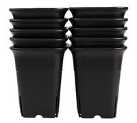 Cpolebev Vaso per Piante Succulente in Plastica Nera Quadrata da 12 Pezzi per Fiori di Cactus, ECC., Vaso da Fiori Nero