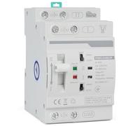 CPROSP Interruttore di Trasferimento Automatico 2 Poli DIN 220V 63A, Commutatore di Rete Automatico Fotovoltaico, Scaricatore di Sovratensione, ATS Fotovoltaico, per Impianti Domestici e Industriali