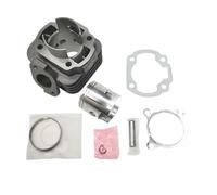 CPTDE Moto Pistone Anello 40mm 44mm 47mm Big Bore Cilindro Pistone 2 Tempi Scooter Per Minarelli 1E40QMB JOG50 Per KEEWAY Per Hurricane 50 ZIP Stels