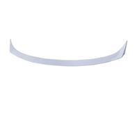 CPXCTZFZUB Per Accord 10th Inspire 2018-2023 Spoiler Posteriore Per Auto ABS, Ala Del Bagagliaio Diffusore Paraurti Posteriore(Silver)