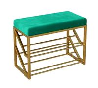 CQAHDSEVF Panca porta scarpe, Panca portascarpe a 2 livelli con seduta multicolore in diverse misure(60x25x48cm,Dark Green)