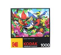 CRA-Z-ART Friendly Birds 1000 Piece Jigsaw Puzzle