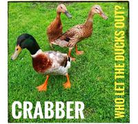 Crabber Who Let the Ducks Out? (CD) Album