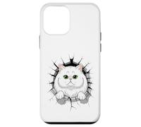 Cracked Wall Persian Cat Persian Longhair Custodia per iPhone 12 mini