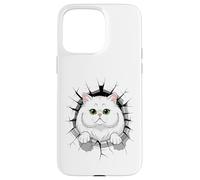 Cracked Wall Persian Cat Persian Longhair Custodia per iPhone 15 Pro Max