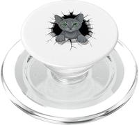 Cracked Wall Russian Blue Cat Russian Blues Maltese PopSockets PopGrip per MagSafe