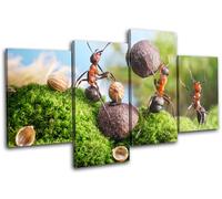 Cracking Nuts Humour MULTI TELA parete arte foto stampa