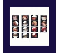 Cradle The - Laughing In My Sleep