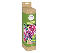 Craft Planet Diamante Art, Multi, 48x36 cm