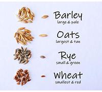 Crafted-Brand semplice miscela di erba per gatti | 100% organico americano + 4 semi popolari | frumento, orzo, avena e semi di segale mix | Mostra il tuo amore con un sano trattamento per animali domestici e snack, 4 ounce (~3200 seeds), Lyndee