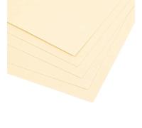 Craftelier - Confezione da 5 cartoncini a trama doppia su tela | Materiale perfetto per progetti di scrapbooking e artigianato | Grammatura 216 gr | Dimensioni 30,48 x 30,48 cm (12"x12") - Colore bianco avorio