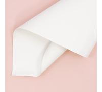 Craftelier Ecopelle, Pelle Sintetica, Bianco, 35 x 50 cm