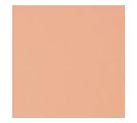 Craftelier Ecopelle, Pelle Sintetica, Salmone, 35 x 50 cm