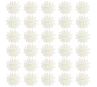 CRAFTHROU 100 Pezzi Fiori di Diffusore in PE a Forma di Margherita Bianca per Diffusore di Aromaterapia, Pratici e Facili da Usare per Profumo Casa e Bagno