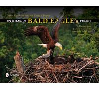Craig A. Koppie Teena Ruark Gorrow Inside a Bald Eagle's Nest (Copertina rigida)