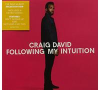 Craig David - Following My Intuition
