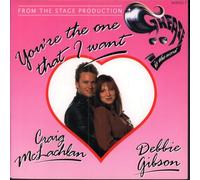 CRAIG McLACHLAN & DEBBIE GIBSON The One That I Want 7"