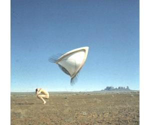Cranberries - Bury The Hatchet Ltd