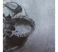 Cranial - DEAD ENDS