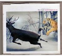 Crash - Lauren Caught My Eyes [Import]