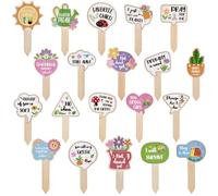 CRASPIRE 20 Stili Divertenti Segnapiante in Legno Bastoncini per Piante Etichette Tag Nome Picchetti Segnali da Giardino in Legno Primaverile per Fiori Verdi Succulente in Vaso Segnapiante da Interno