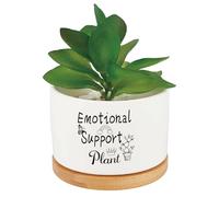 CRASPIRE Supporto Emotivo Piccolo Vaso in Ceramica Bianca Aloe Vera Cactus Fioriera Succulenta Vassoio in Legno con Foro di Drenaggio Divertenti Vasi per Interni Ed Esterni per Ufficio Davanzale