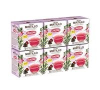 CRASTAN 1870 - Capsule Compatibili Dolce Gusto - Infuso al Mirtillo con Rosa Canina e Bacche di Sambuco - 6 Box da 10 Capsule - Senza Zuccheri Aggiunti - Aromi Naturali - Senza Glutine