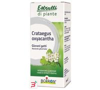 CRATAEGUS BOIRON MACERATO GLICERICO 60 ML