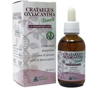 CRATAEGUS OXIANTA GEMM 50ML