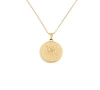 crayfomo Collana in acciaio al titanio 18k con dodici costellazioni in acciaio per monete rotonde, il senso di qualità non si dissolve, i regali dei gioielli possono incidere