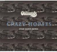 Crazy Horses (Utah Saints Remix) (UK Import)