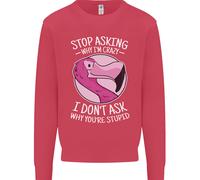 Crazy Stupid Funny Sarcastico Slogan Sarcasmo Uomo Felpa Maglione