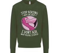 Crazy Stupid Funny Sarcastico Slogan Sarcasmo Uomo Felpa Maglione