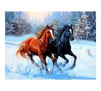 Crea il tuo stile unico con il kit artistico a forma di cavallo con animali da 30 x 40 cm, progettato per tutti (40 x 30 cm)