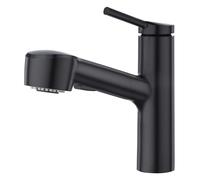 CREA Rubinetto Cucina con Doccetta Estraibile a 2 Modalità,Miscelatore Monocomando per Lavello,Rubinetti in Acciaio Inox 304, Acqua Fredda e Calda,Risparmio Idrico,Nero Opaco