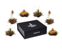 Creano 6x Fiori di Tè Nero in Scatola Magnetica con Goffratura Argento - Set Elegante Perfetto come Idea Regalo Premium per Amanti del Tè