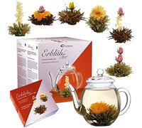 Creano - Mix di fiori di tè - Set Regalo Té Fiorito con bricco di vetro 500ml - Variazioni di 3x Tè bianco e 3x Tè nero (6 tipi diversi)