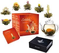 Creano Mix-Set Regalo 6x "Fiori di Tè" con Teiera 500ml e 6x Tè Bianco in Scatola Magnetica - Mix-Set completto: 12x Té Fiorito e Teiera