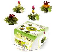 Creano Variante di fiori di tè nell'esclusivo formato di tazza - 8 fiori di tè in 4 diverse varietà - Tè Verde